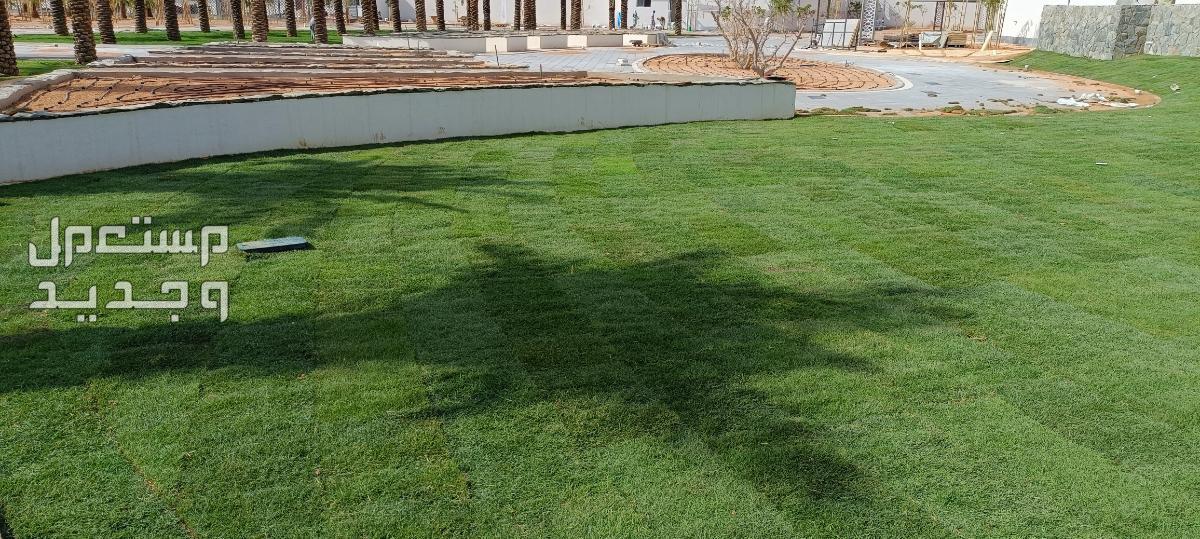 مهندس زراعي متخصص في مجال الزراعة