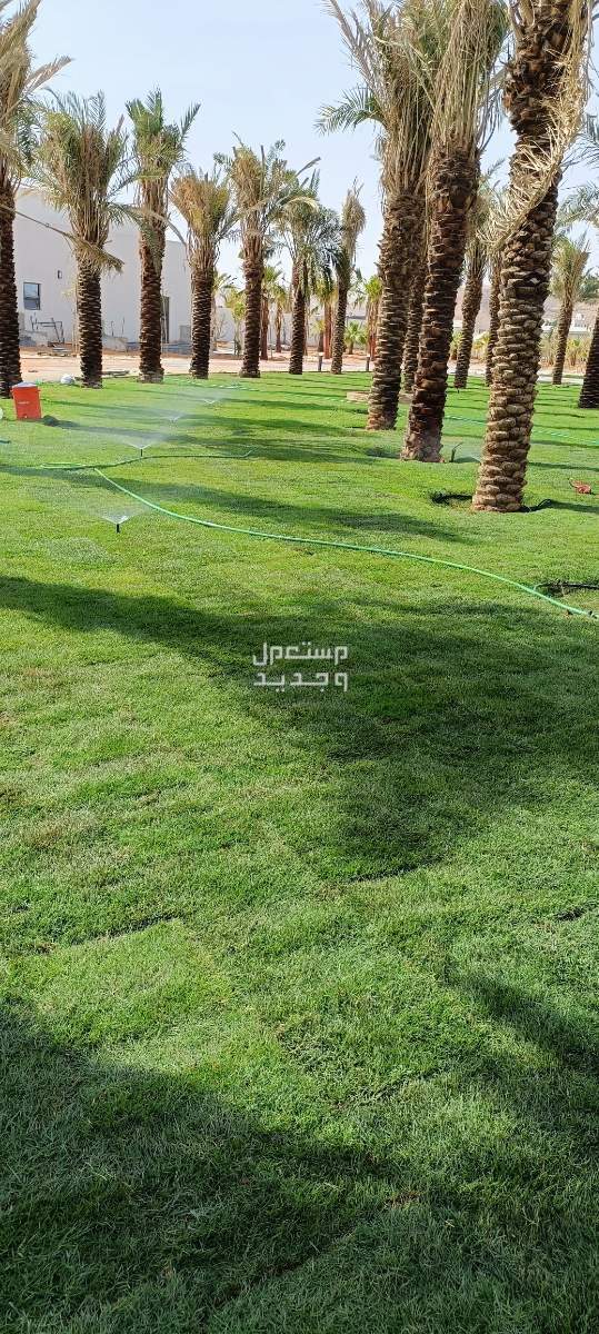 مهندس زراعي متخصص في مجال الزراعة