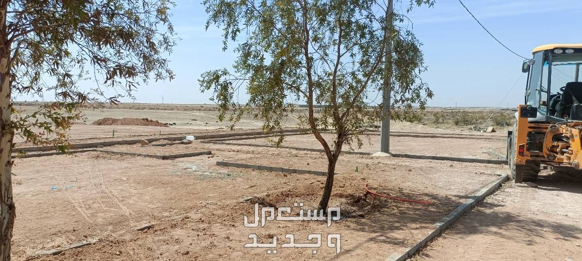 مهندس زراعي متخصص في مجال الزراعة