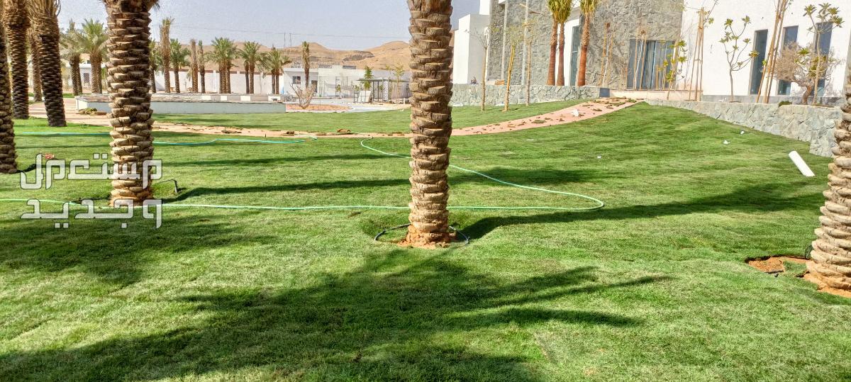 مهندس زراعي متخصص في مجال الزراعة