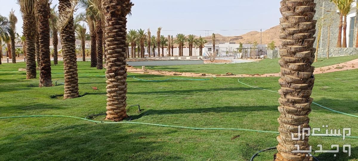 مهندس زراعي متخصص في مجال الزراعة