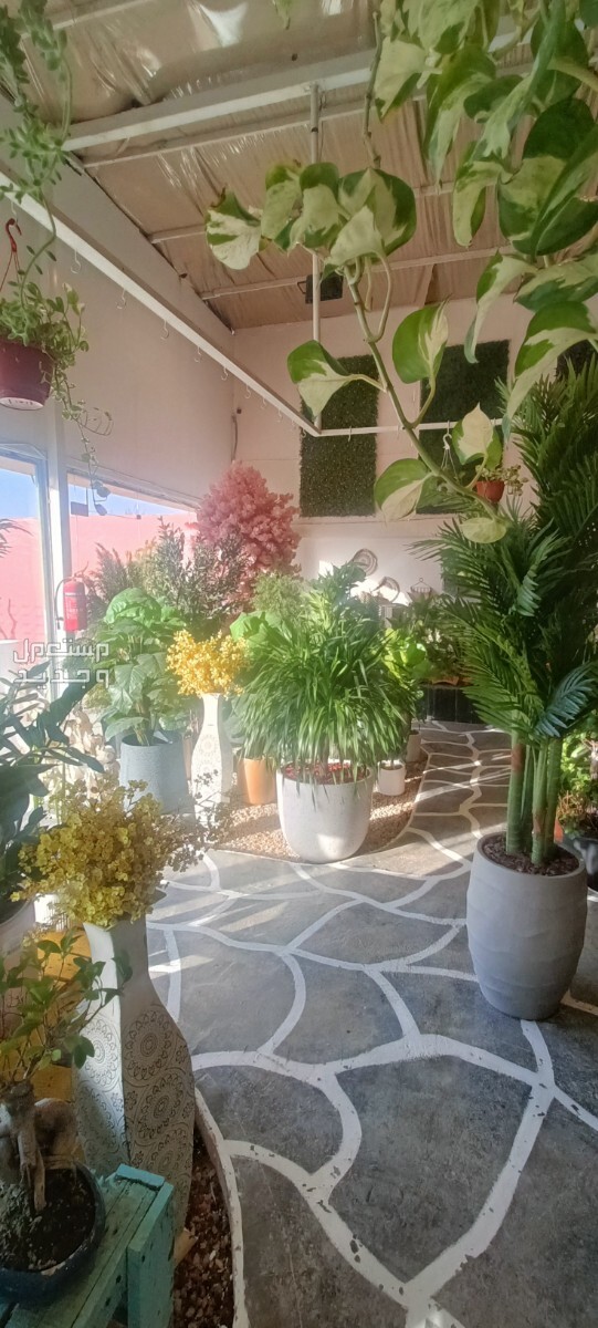 مهندس زراعي متخصص في مجال الزراعة