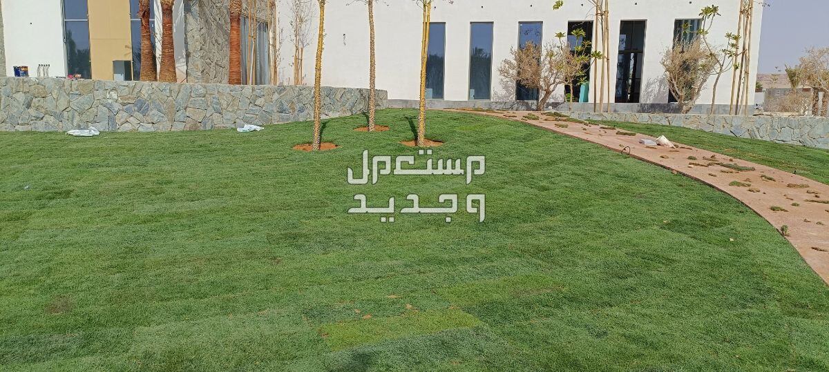 مهندس زراعي متخصص في مجال الزراعة