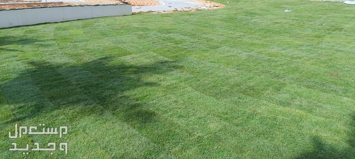 مهندس زراعي متخصص في مجال الزراعة