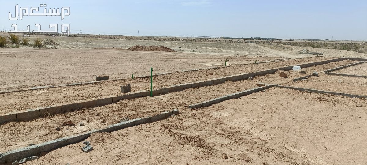 مهندس زراعي متخصص في مجال الزراعة