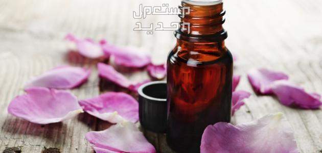 كيفية استخدام زيت الورد للشعر وفوائده فوائد زيت الورد للشعر