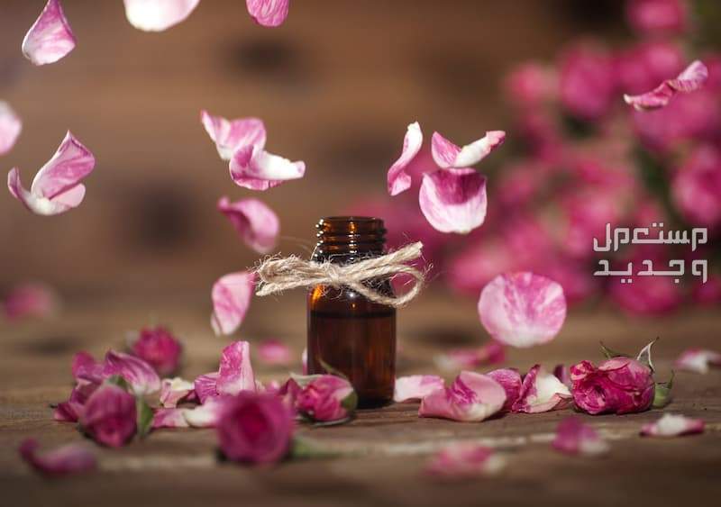 كيفية استخدام زيت الورد للشعر وفوائده زيت الورد لتكثسف الشعر