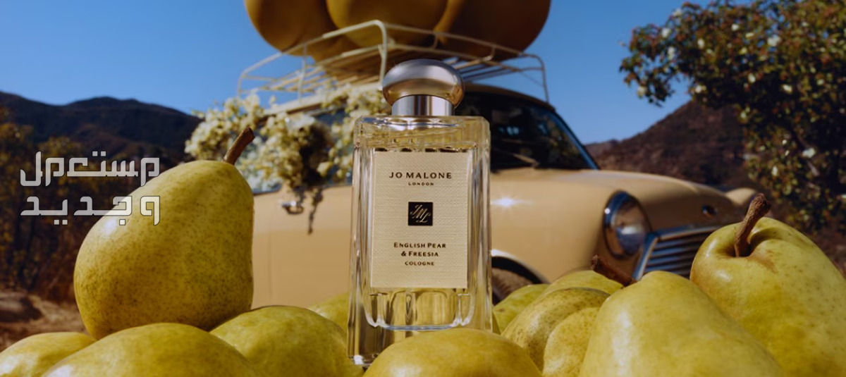 أفضل عطور الشعر للعروس 2024 أفضل عطور للشعر للعروس من جو مالون