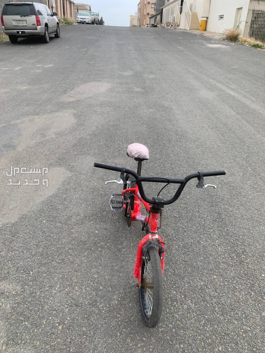 سيكل كوبرا مقاس 16