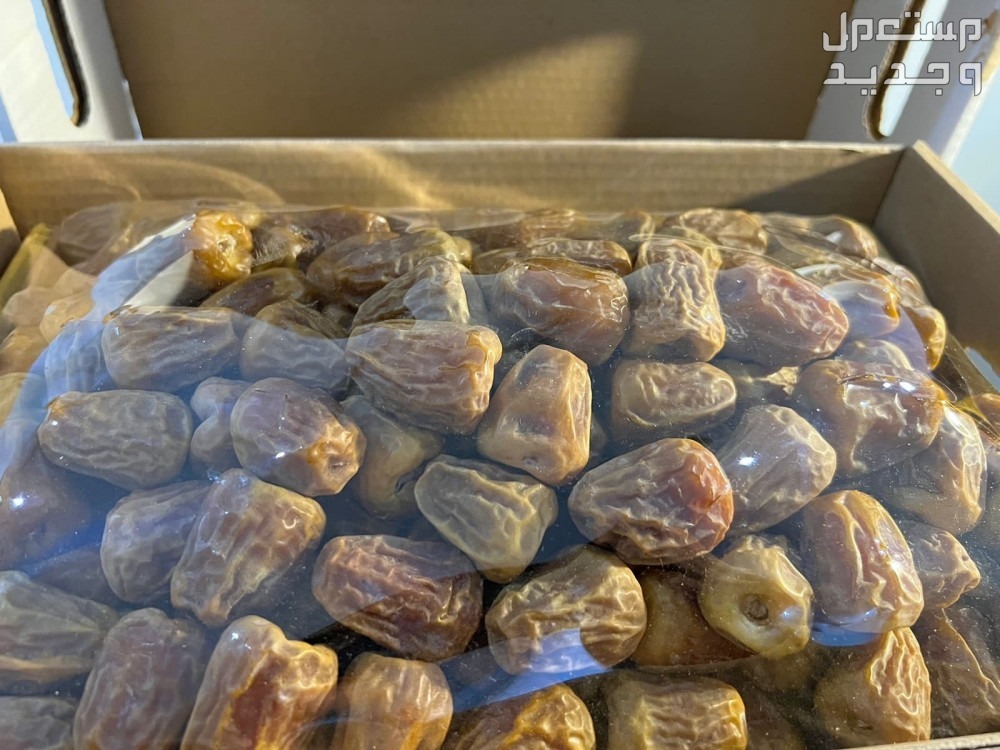 أفضل أنواع التمر السكري وفوائده وأسعاره أفضل أنواع التمر السكري