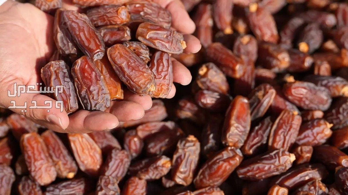 تعرف على أشهر أنواع التمر السعودي وفوائده أفضل أنواع التمر السعودي