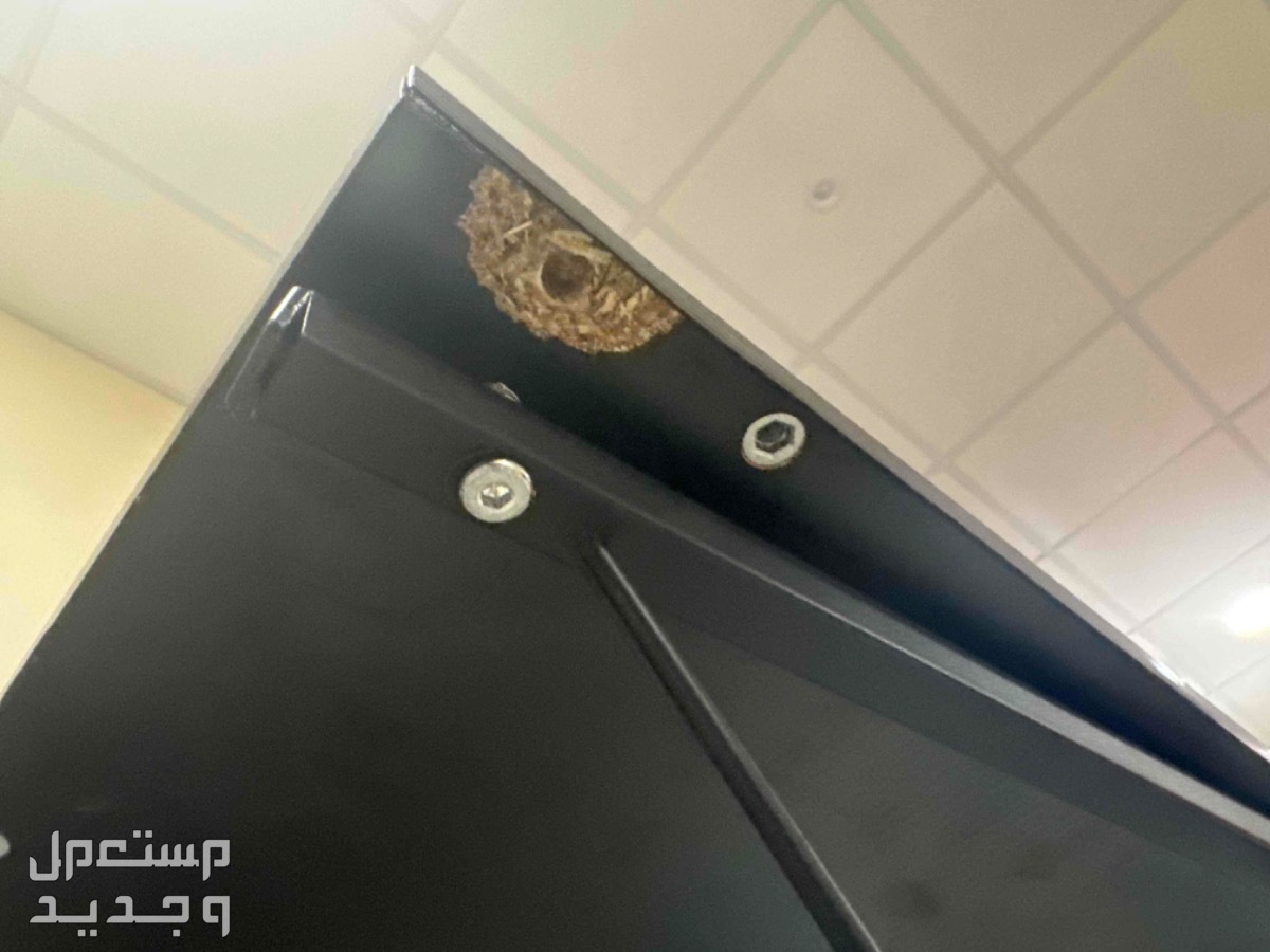 طاوله قيمنق حرف L