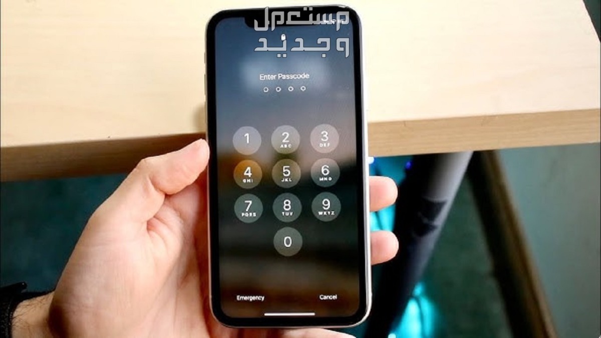 ماذا تفعل عند نسيان كلمة المرور للايفون؟.. "أبل" تجيب إعادة تعيين كلمة سر Apple ID