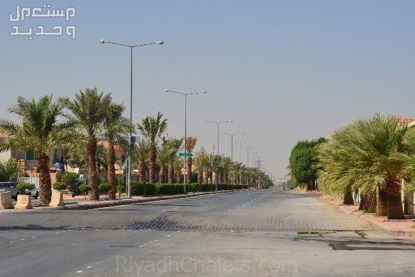 دليلك في حي النزهة الرياض.. المرافق والخدمات أحد الشوارع في حي النزهة