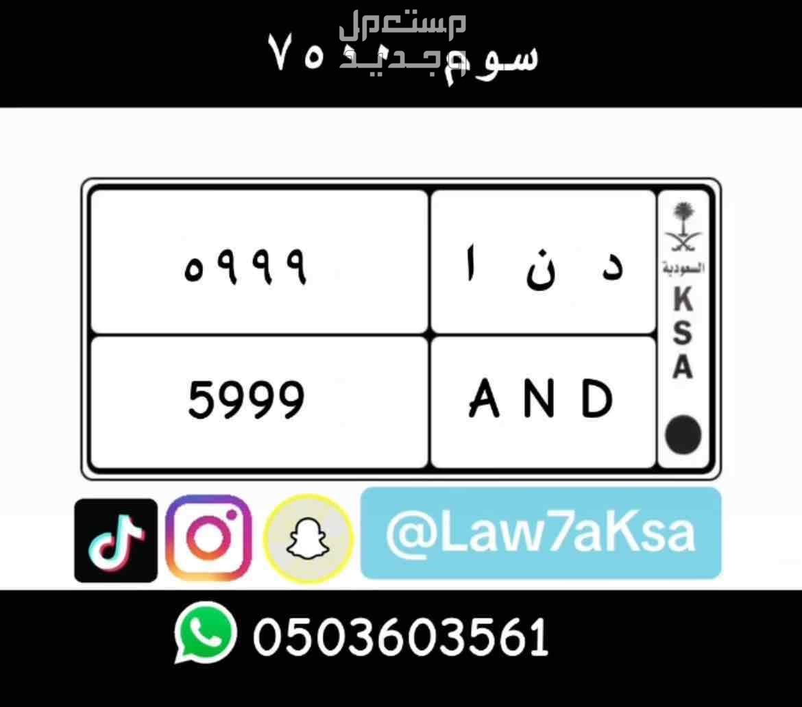 لوحة مميزة د ن ا - 5999 - خصوصي في الرياض بسعر 8 آلاف ريال سعودي