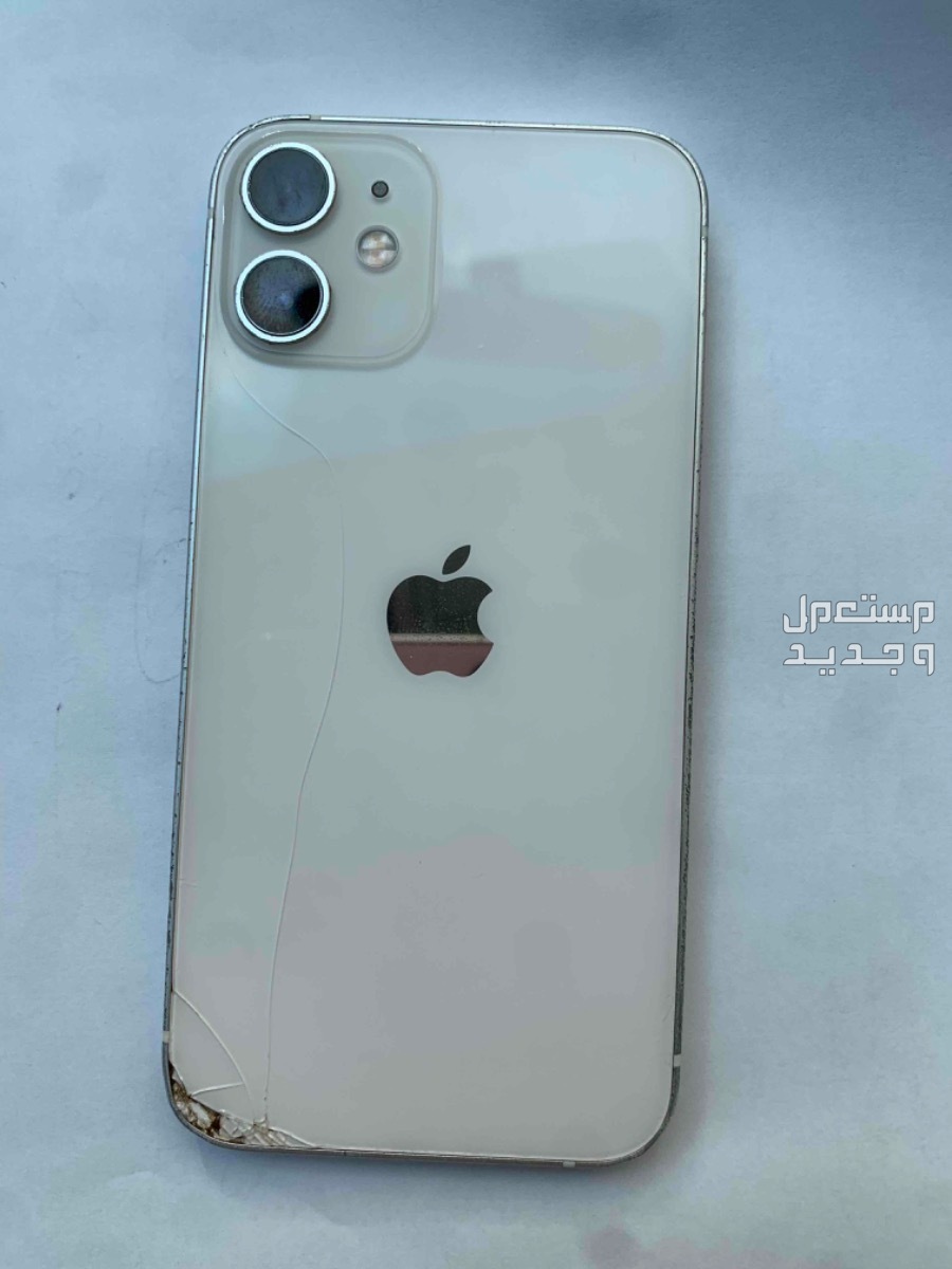 الربياض
