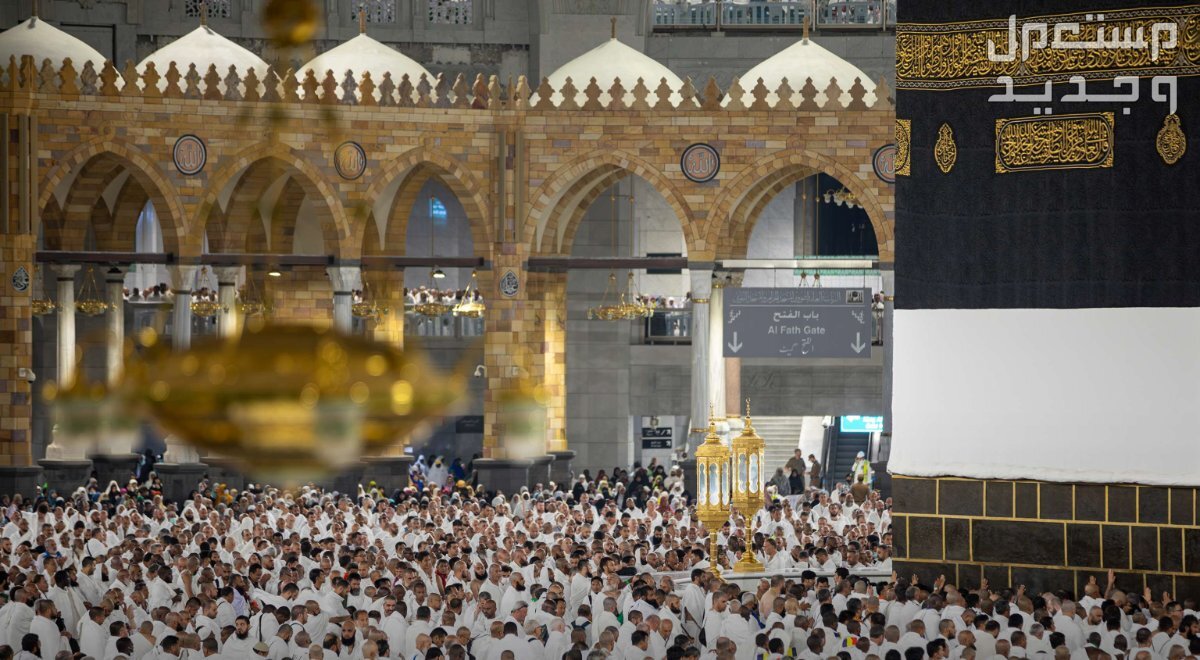 المواد التي يمنع دخولها العمرة 2024 المواد التي يمنع دخولها العمرة 2024