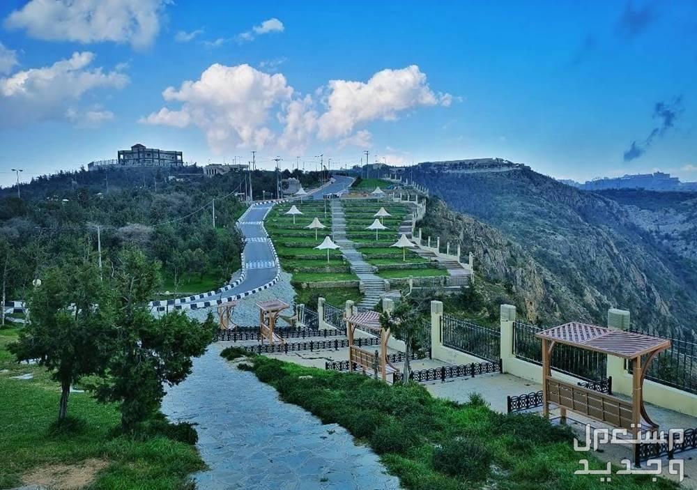 فعاليات سوق السبت في بلجرشي: جولة سياحية في السوق والمنطقة بلجرشي بمنطقة الباحة