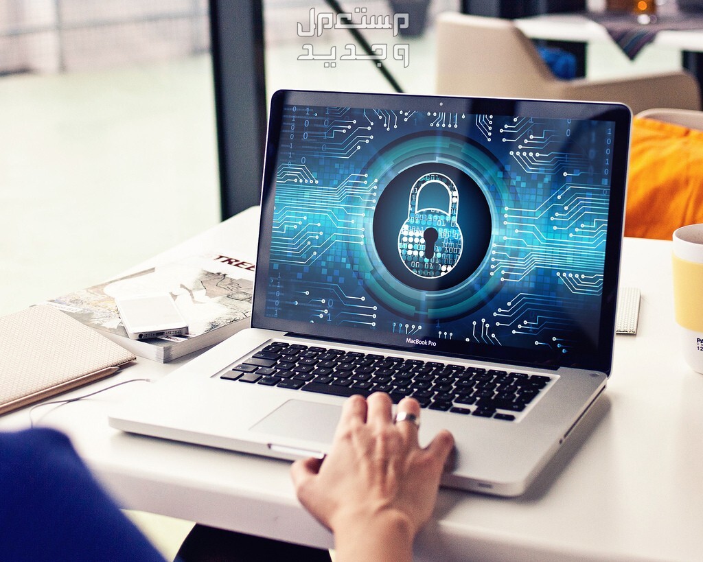 كيف تظهر الملفات المخفية في ويندوز 11؟... 3 خطوات سهلة أفضل برامج إظهار ملفات مخفية في الحاسب