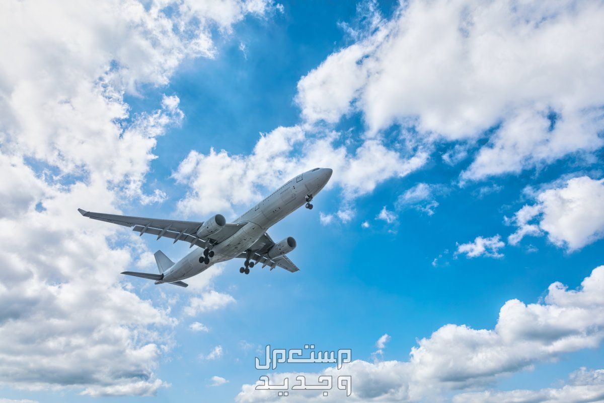 ما هو تفسير حلم الطائرة في المنام