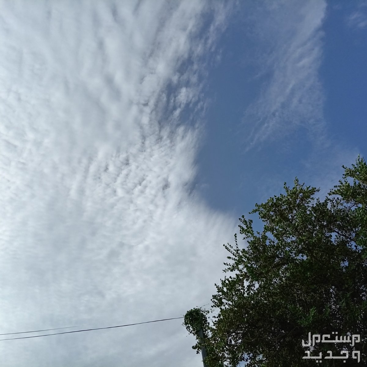 مصورة 📸♣️ بسعر 50 ريال سعودي
