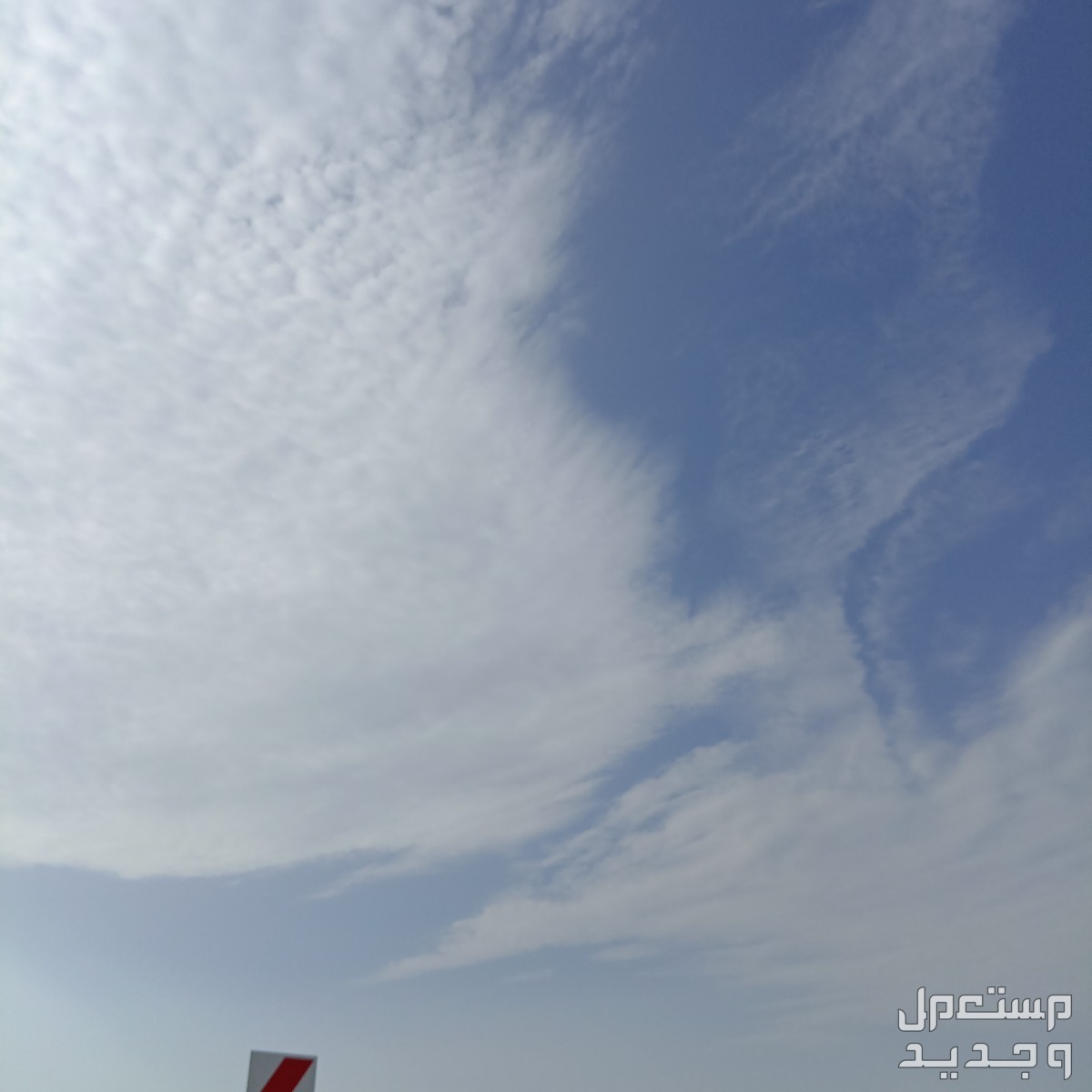 مصورة 📸♣️ بسعر 50 ريال سعودي