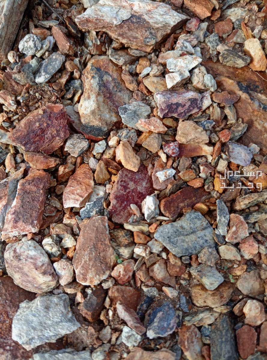 مصورة 📸♣️ بسعر 50 ريال سعودي