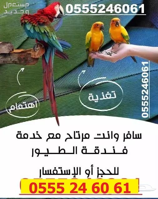 فندقة قطط وطيور 61 60 24 0555 الرياض مخرج 5
