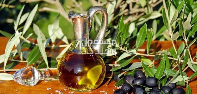 أفضل خلطات طبيعية بزيت الزيتون للوجه شكل زيت الزيتون