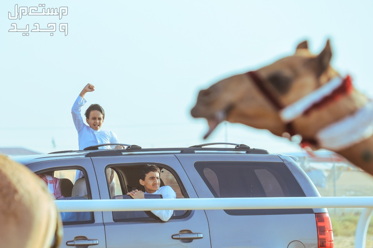 مهرجان ولي العهد للهجن 2024 .. الموعد والجوائز المالية حماس طفل في مهرجان ولي العهد للهجن