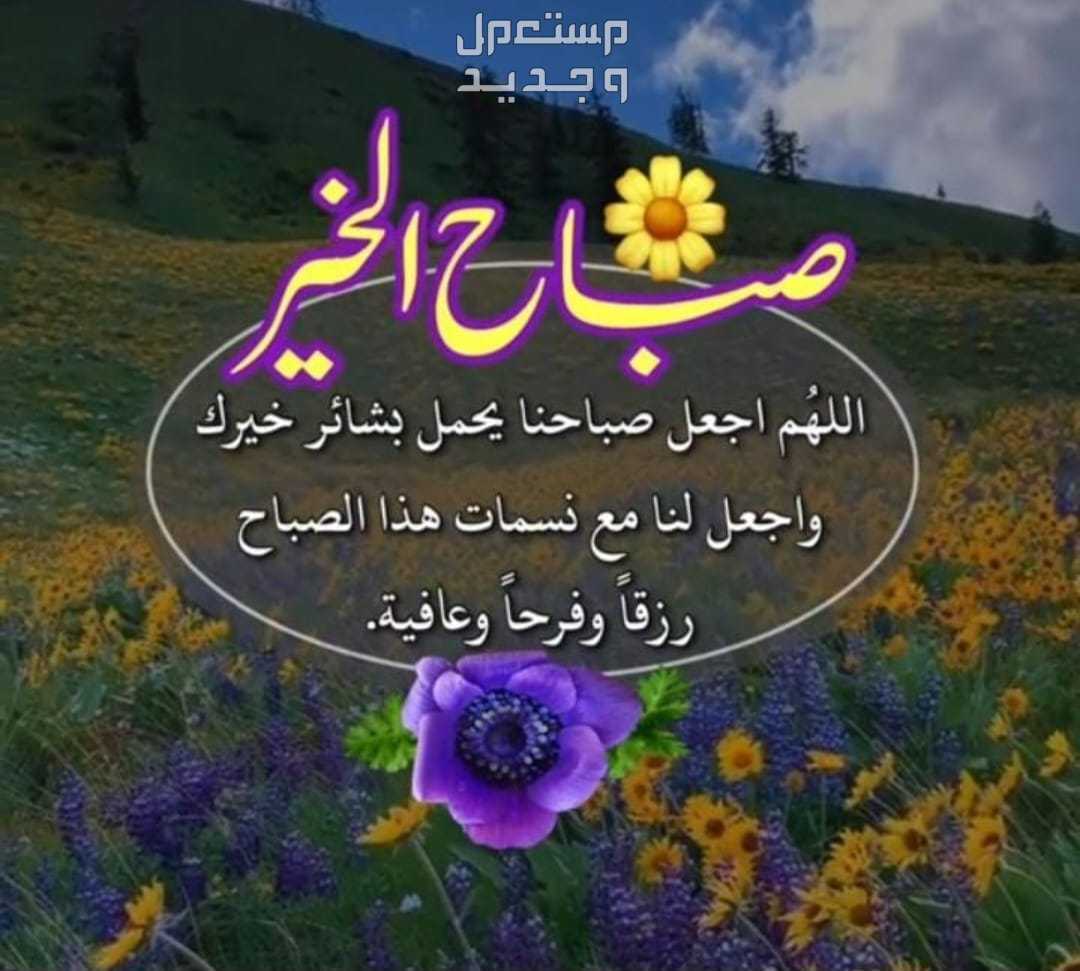 مطلوب كوفيرات للعمل في الرياض هوم سيرفس