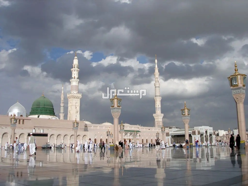 أفضل وقت لزيارة المدينة المنورة 2024 وأهم النصائح أفضل وقت لزيارة المدينة المنورة 2024 وأهم النصائح