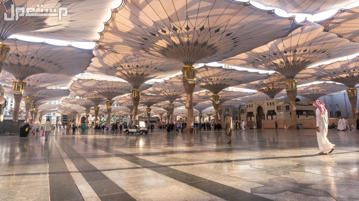 أفضل وقت لزيارة المدينة المنورة 2024 وأهم النصائح أهم الإرشادات عند زيارة المدينة المنورة