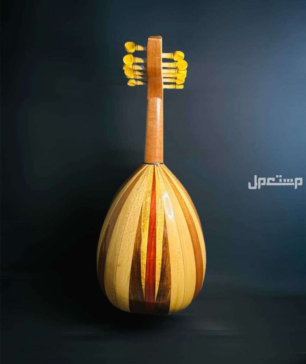 عود موسيقي ظهر مبطط قصعة صغيرة