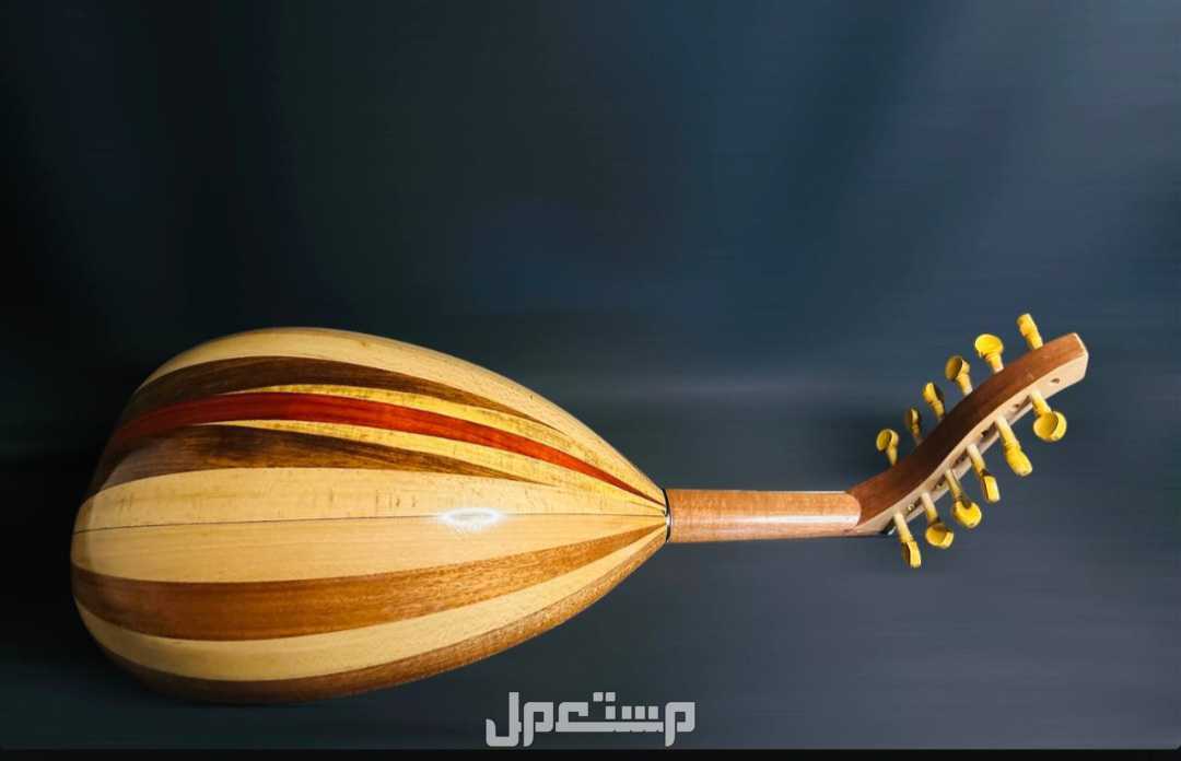 عود موسيقي ظهر مبطط قصعة صغيرة