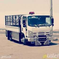 دينا نقل عفش حي ظهره لبن