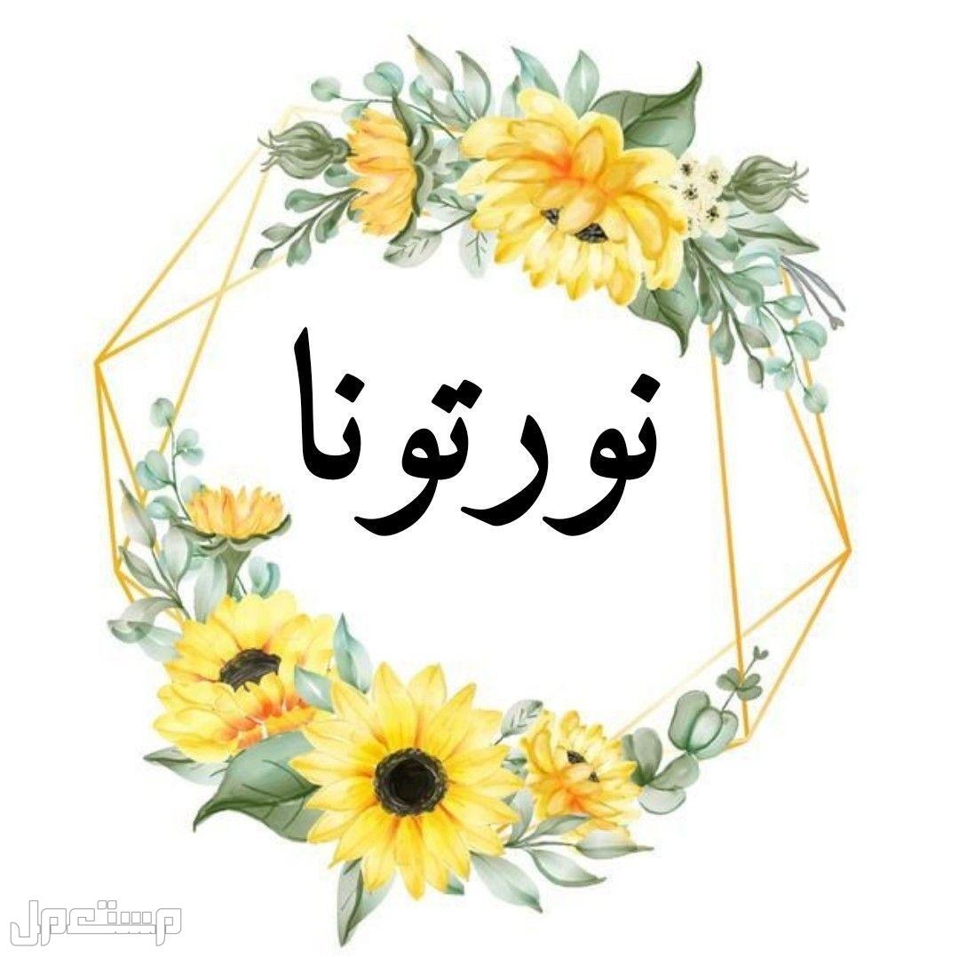 أجمل عبارات ترحيب بالضيوف قصيرة 2025 مع الصور أجمل كلمات ترحيب بالعامية للضيوف الأهل والأصدقاء