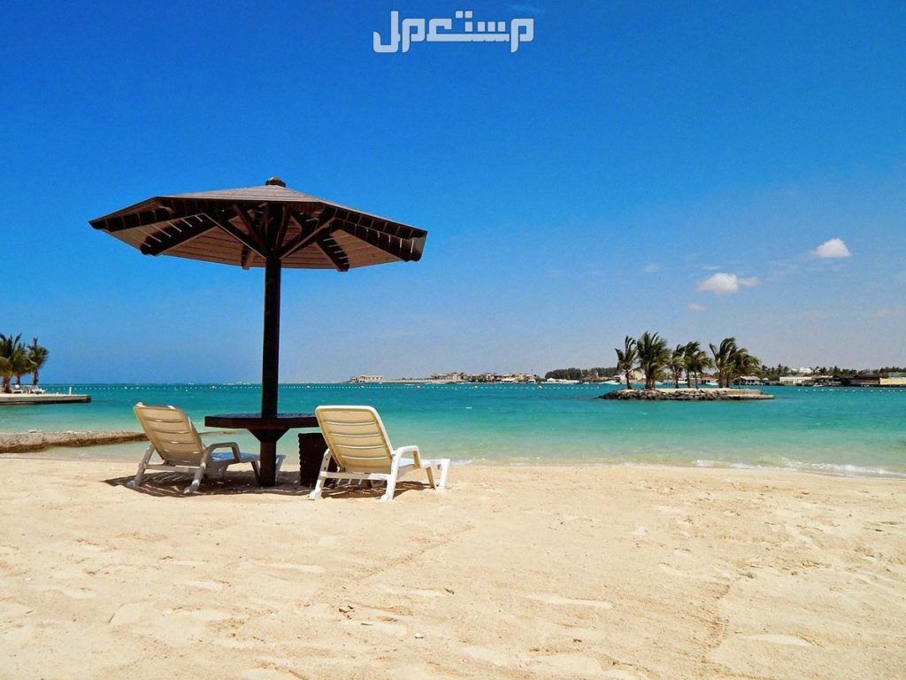 كيف تقضي عطلة نهاية الأسبوع في جدة بشكل مسلي 2024 شاطئ البحر