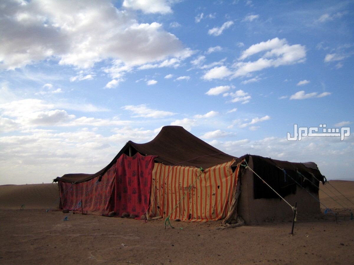 أفضل 5 أماكن تخييم في جدة 2024 لتجربة مختلفة ورائعة أفضل أماكن تخييم في جدة