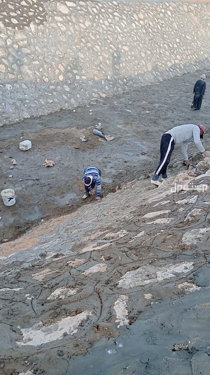 أسوار دبش//,مقاول تدبيش/☎️/أسعار دبش / حجر دبش / توريد وتركيب الحجر الدبش / تنفيذ اسوار حجر دبش/@ مقاول تدبيش/☎️01009693267/أسعار دبش / حجر دبش / توريد وتركيب الحجر الدبش / تنفيذ