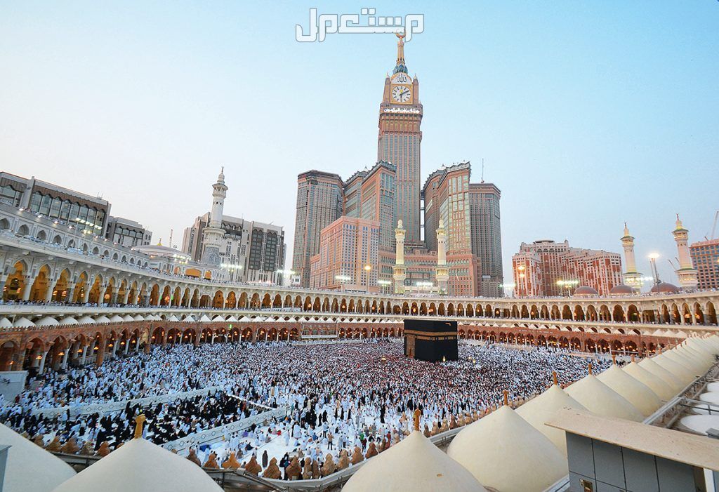 إجراءات جديدة للحد من الحجاج غير النظاميين 1446 الحجاج الغير نظاميين موسم حج 1446
