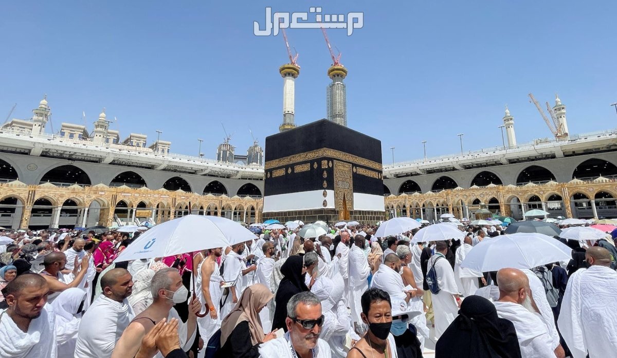 إجراءات جديدة للحد من الحجاج غير النظاميين 1446 بدء موسم الحج 2025-1446
