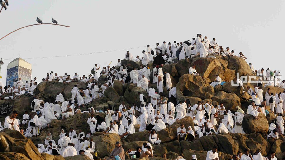 إجراءات جديدة للحد من الحجاج غير النظاميين 1446 في السودان ما هي الإجراءات للحد من الحج بلا تصاريح؟