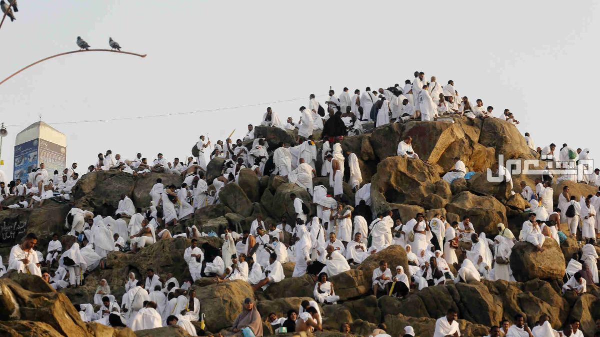 إجراءات جديدة للحد من الحجاج غير النظاميين 1446 ما هي الإجراءات للحد من الحج بلا تصاريح؟
