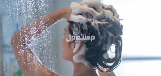 أفضل شامبو ضد تساقط الشعر وأسعاره أفضل شامبو ضد تساقط الشعر
