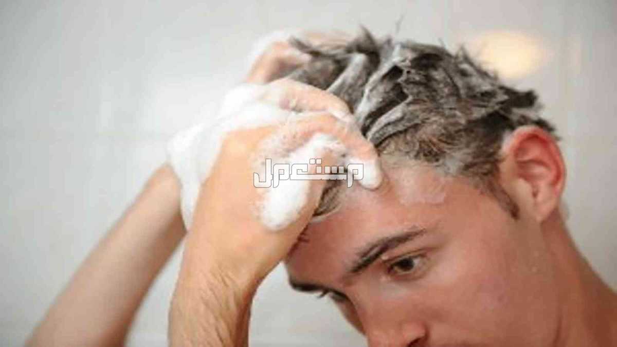 أفضل شامبو ضد تساقط الشعر وأسعاره شامبو علاج تساقط الشعر