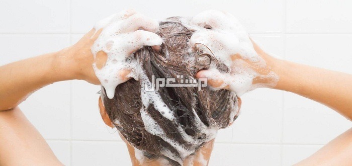 أفضل شامبو ضد تساقط الشعر وأسعاره شامبو ضد تساقط الشعر نساء
