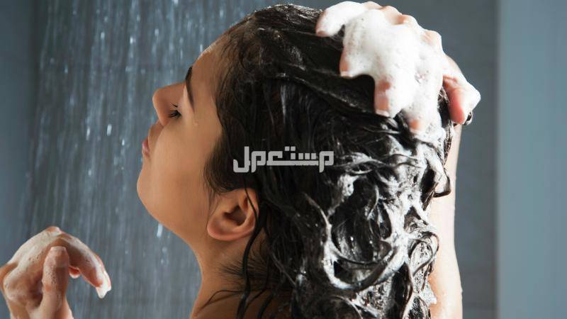 أفضل شامبو ضد تساقط الشعر وأسعاره شامبو ضد تساقط الشعر