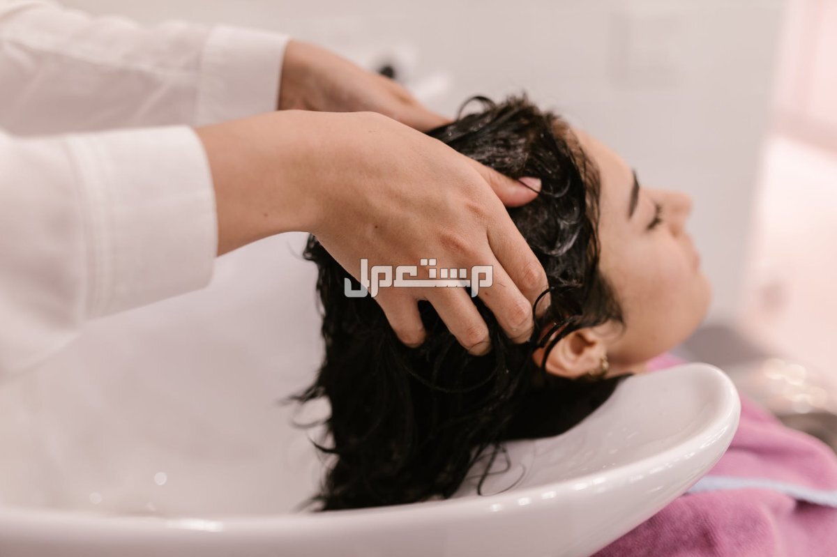 أفضل شامبو ضد تساقط الشعر وأسعاره شامبو نمو الشعر وعلاج التساقط
