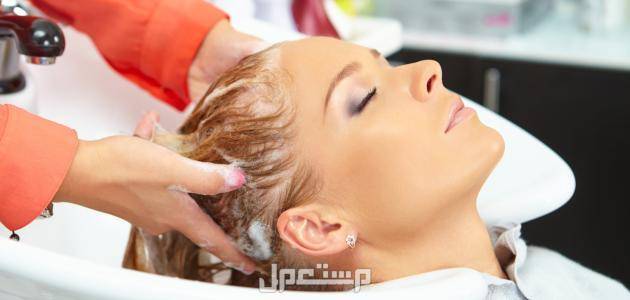 أفضل شامبو ضد تساقط الشعر وأسعاره شامبو الشعر